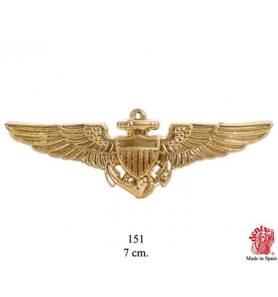 foto Odznak letectva